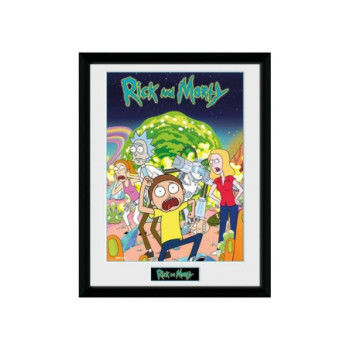 RICK AND MORTY COMPILATION TIRAGE ENCADRE (30X40)