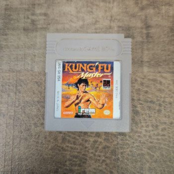 KUNG FU MASTER USA GAMEBOY