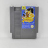 JACKIE CHANS ACTION KUNG FU - NES