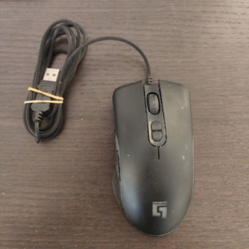 SOURIS HOMDAY GAMING