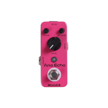 2019 MOOER ANA ECHO DELAY