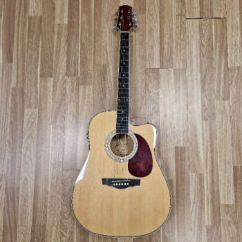 GUITARE ELECTRO ACC CHAPEL DG220CE