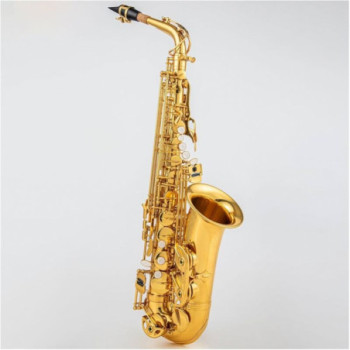 SAXOPHONE ALTO MIB MUSICA 700F