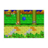 SONIC THE HEDGEHOG 2 - MEGA DRIVE - BOITE ET NOTICE