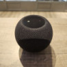 HOMEPOD MINI APPLE NOIR