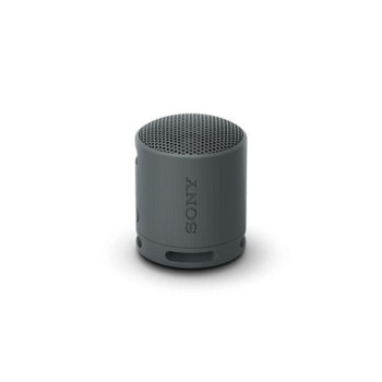SONY SRS XB100