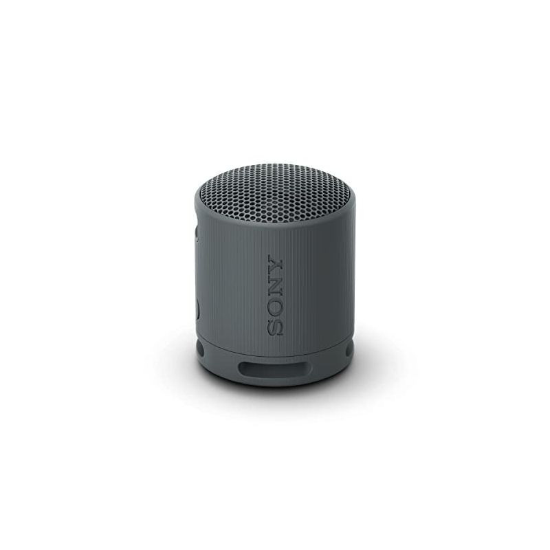 SONY SRS XB100 SONY SRS XB100