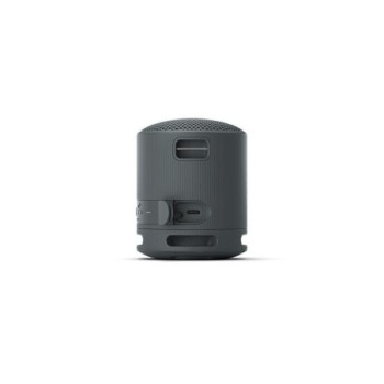 SONY SRS XB100