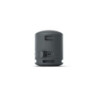 SONY SRS XB100