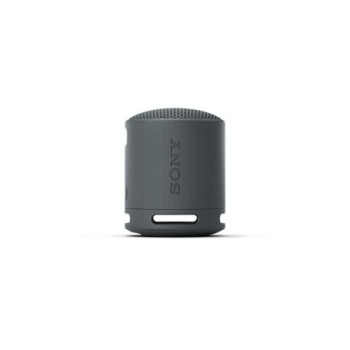 SONY SRS XB100