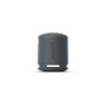 SONY SRS XB100