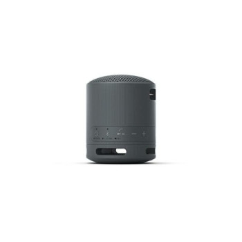 SONY SRS XB100