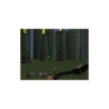 TUROK DINOSAUR HUNTER N64 EN BOITE