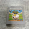 NINTENDO GAME BOY POCKET STADIUM JAP SANS BOITE