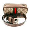 OPHIDIA GG SUPREME GUCCI