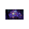 JEU PS4 SUPER DUNGEON BROS