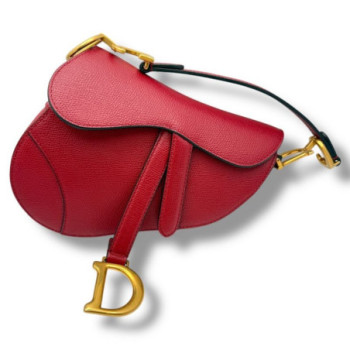 DIOR SADDLE ROUGE