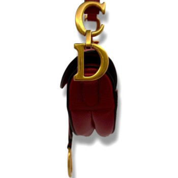 DIOR SADDLE ROUGE