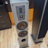 PAIRE ENCEINTE DALI IKON 6