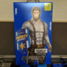 VERRE DURCI PRIVACY 16 PRO MAX 5D MR. MONKEY GLASS