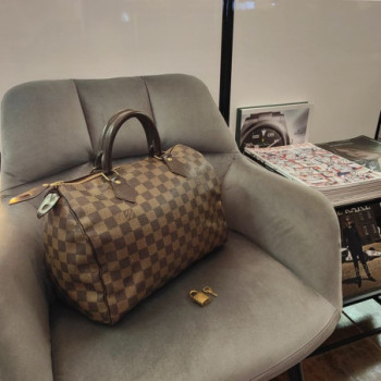 LOUIS VUITTON SPEEDY 30 DAMIER EBENE