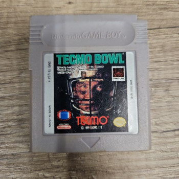 TECMO BOWL - GB