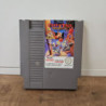 CHIP N DALE NES
