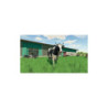 Farming Simulator 22