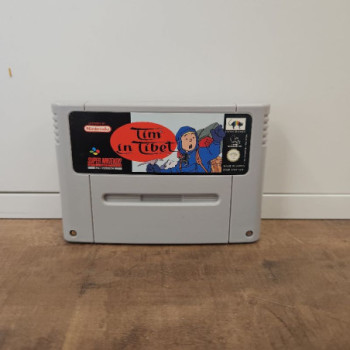 SNES TIM IN TIBET