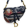 SAC A MAIN SADDLE DIOR TOILE