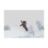 1080 AVALANCHE - GAME CUBE