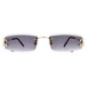 CARTIER CT0465S 001 56-18