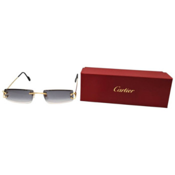 CARTIER CT0465S 001 56-18