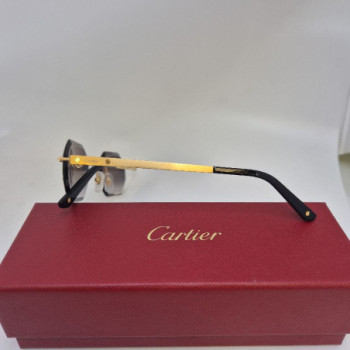LUNETTE CARTIER CT05110 0001 5518