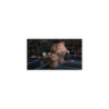 WWE SmackDown Vs. RAW 2008 - PS3