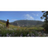 KINGDOM COME DELIVRANCE - PS4