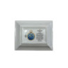 VIDE POCHE PATEK PHILIPPE LES POISSONS 2008