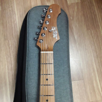 GUITARE ELECTRIQUE JET GUITARS JJ-350 OFFSET ROASTED MAPLE BLACK + HOUSSE