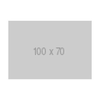 EYE TOY PLAY ASTRO ZOO : PLAYSTATION 2  FR