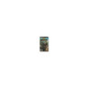 SOCOM U.S. Navy Seals Fireteam Bravo PSP ENG COMPLET