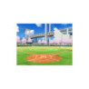 Little League World Series Baseball 2009