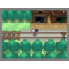 Pokmon: Version Blanche/ WEISS EDITION (DS) ALLEMAND COMPLET