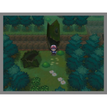 Pokmon: Version Blanche/ WEISS EDITION (DS) ALLEMAND COMPLET