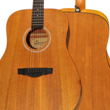 GUITARE FOLK D18