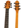 GUITARE FOLK D18
