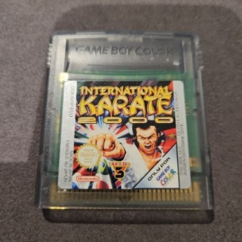 INTERNATIONAL KARATE 2000 - GAMEBOYCOLOR (CARTOUCHE SEULE)