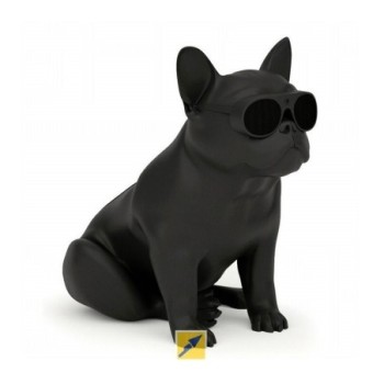 ENCEINTE AEROBULL XS1 BLACK