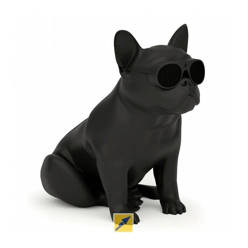 ENCEINTE AEROBULL XS1 BLACK