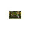 JEU GBA WARIOLAND 4 + BOITE NOTICE