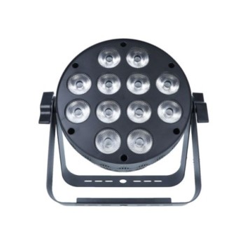 POWER PAR LEDS XPRO 12X10W